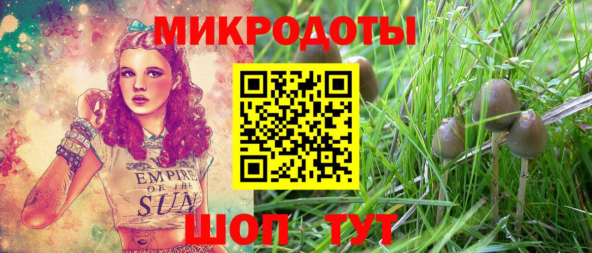 Галлюциногенные грибы MAGIC MUSHROOMS Ленинск-Кузнецкий