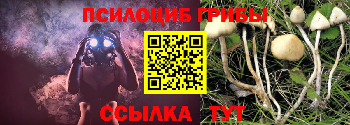 Псилоцибиновые грибы ЛСД  Вход с VPN  Галлюциногенные грибы Cubensis  Ленинск-Кузнецкий 